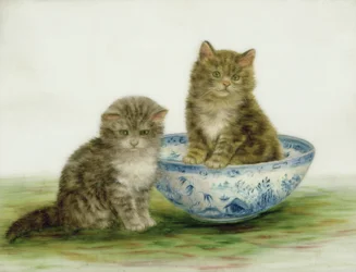 Gattino in una ciotola di porcellana blu